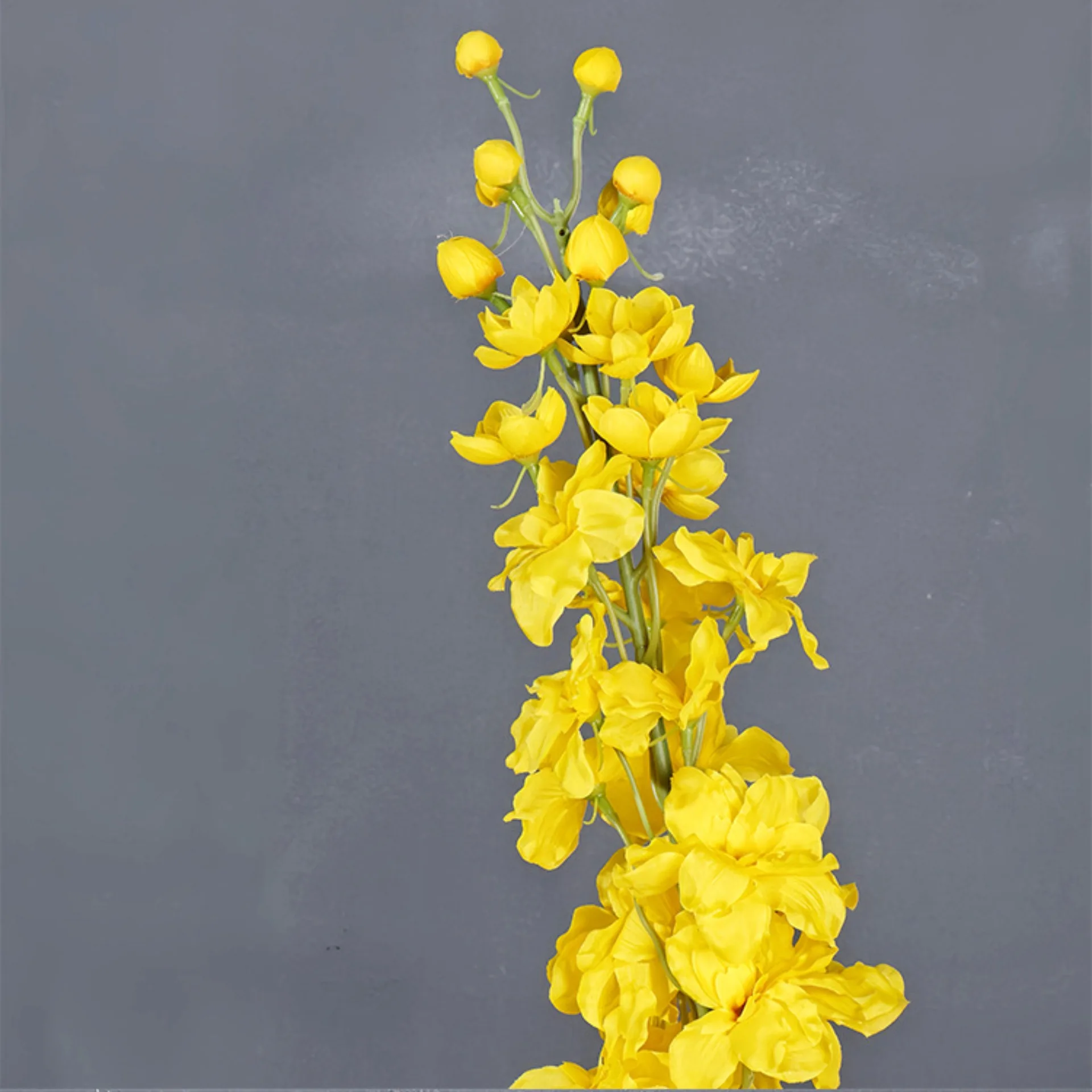 45 بوصة Delphinium الحرير الاص - مراجعة Photography Hotel وسعره